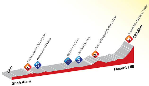 Stage 7 profile